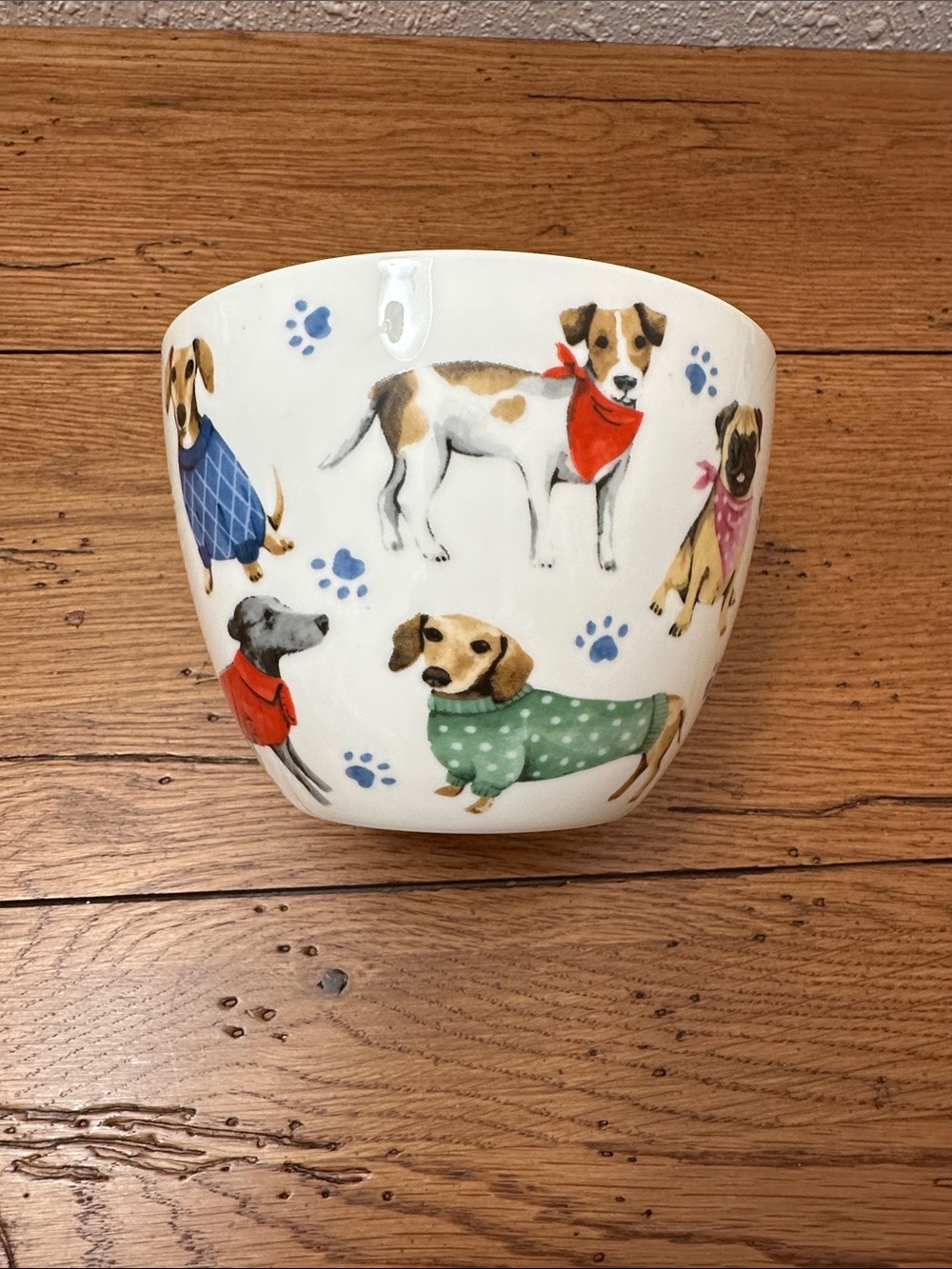 Live 6/28 Dog Mug - Picture 4 of 4
